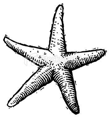 356x380 Woodcut Style Vector Illustration Of A Solo Starfish Tattoos