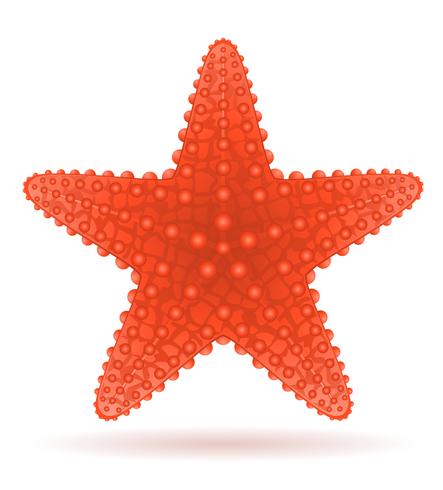443x490 Starfish Vector Illustration