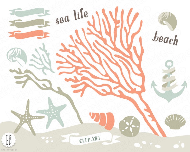 794x635 Coral Beach Sea Life Vector Clip Art Corals Starfish Sand Etsy
