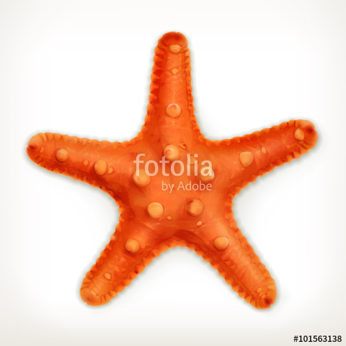 500x500 Starfish, Vector Icon Stock Image And Royalty Free Vector