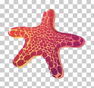 310x290 Starfish Vector Png Images, Starfish Vector Clipart Free Download