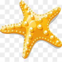 260x260 Starfish Vector Png Free Download