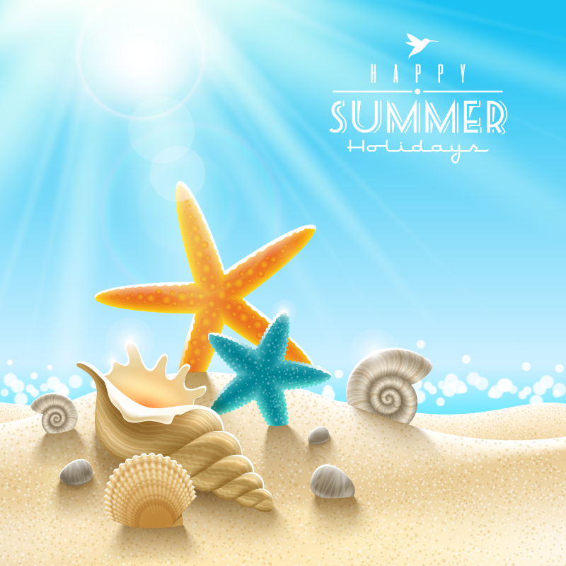 800x800 Summer Beach Starfish Background Vector Free Vector Graphic Download