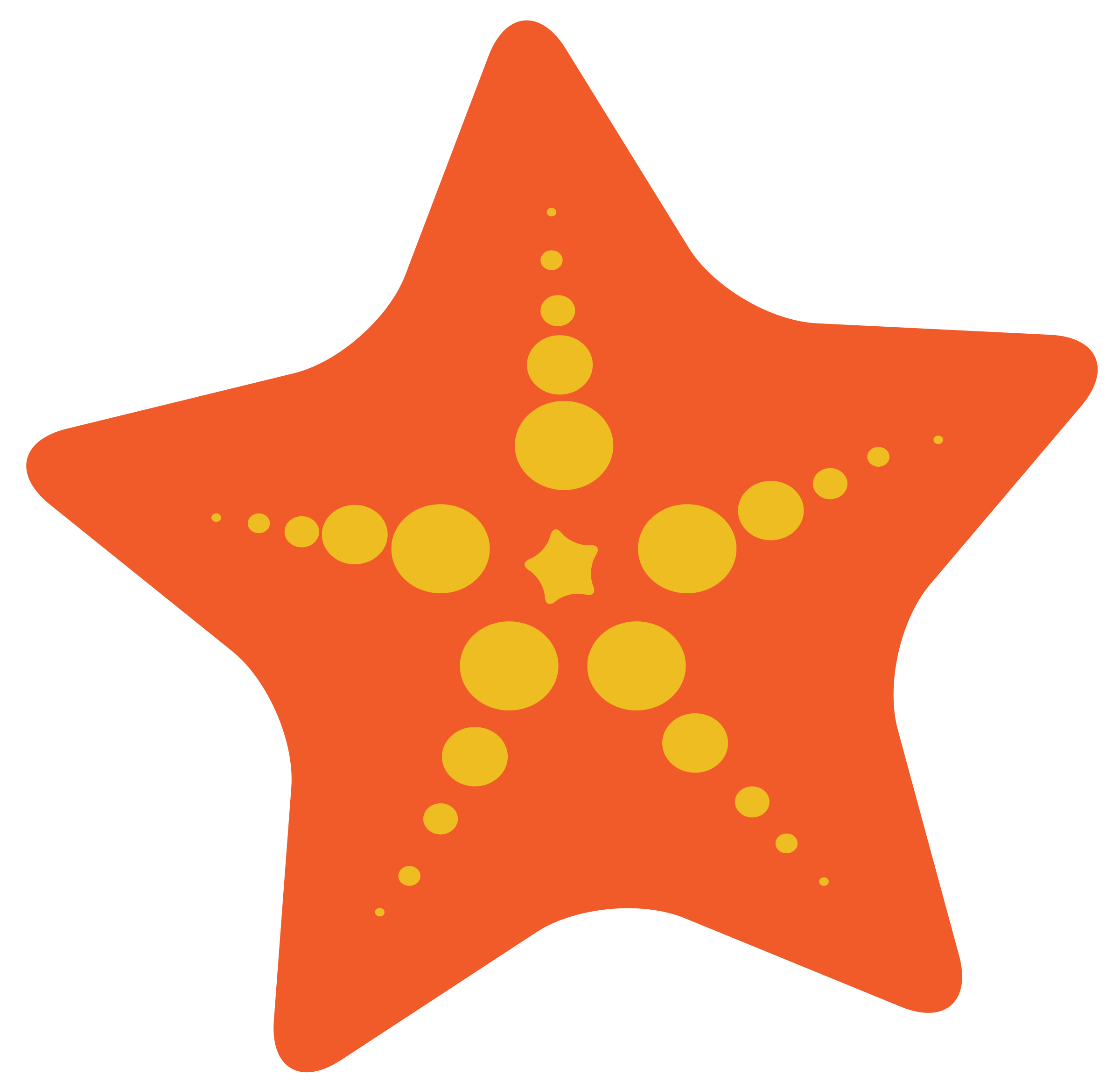 2400x2333 Free Starfish Clipart