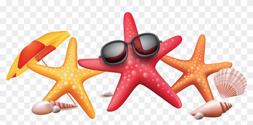 840x414 Vector Color Seaside Starfish Sunglasses Creative