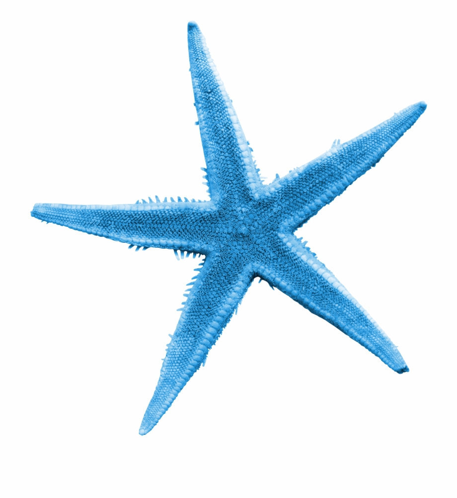 920x1001 Vector Royalty Free Library Illustration Transprent