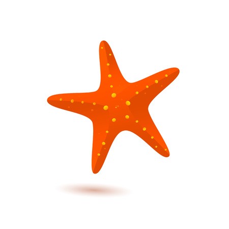450x450 Vector Of Starfish Vector Icon