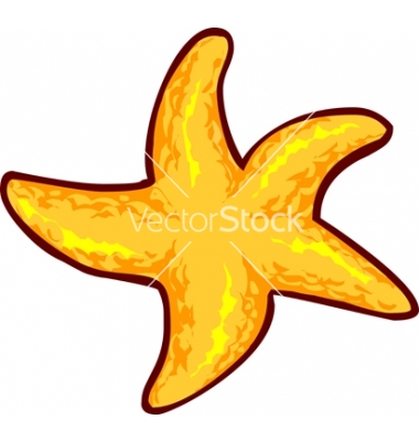 380x400 Yellow Starfish Vector