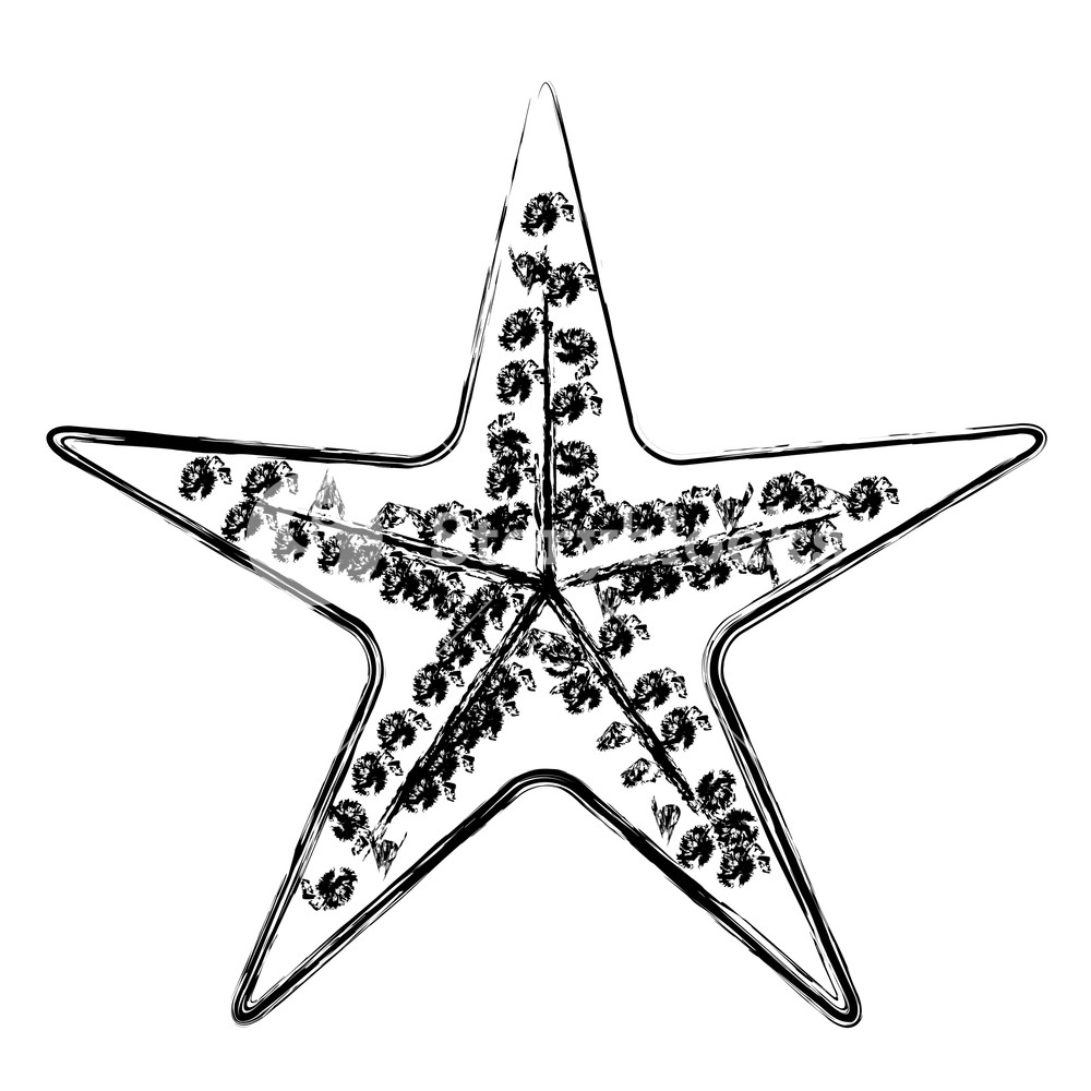 Download Starfish Vector Free at Vectorified.com | Collection of ...