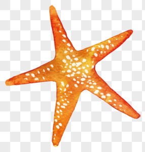 286x300 Hand Painted Starfish Images Hand Painted Starfish Pictures