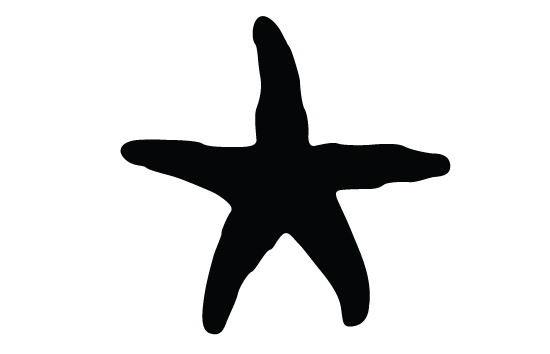 550x354 Starfish Clipart Silhouette Free Cliparts Download Images