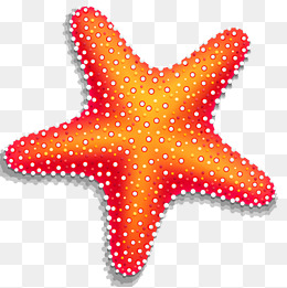 260x261 Free Download Starfish Vector Png Images, Vector, Starfish, Star