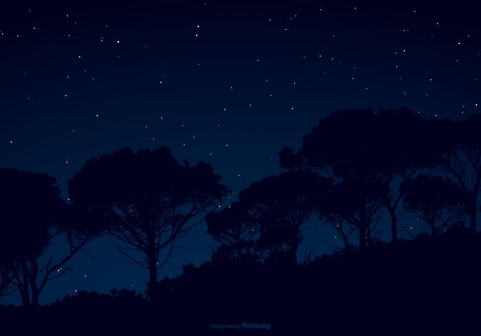 Starry Night Sky Illustration 700x490 Starry Night Sky Illustration