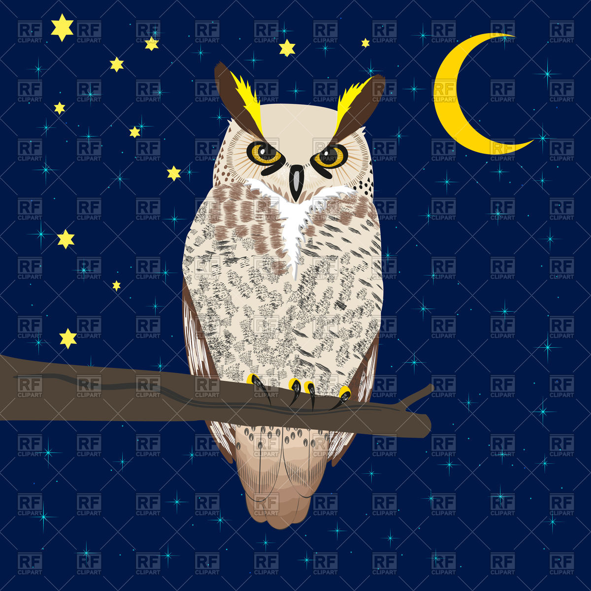 1200x1200 Owl Sits On A Tree Branch Under The Moon And Starry Sky Vector