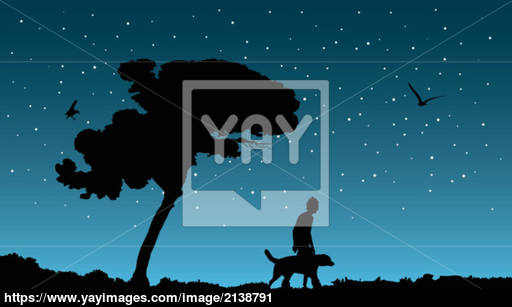 512x307 Best Friends On A Starry Night, Vector Illustration Vector