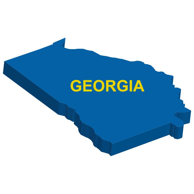 660x660 Georgia State Vector Map