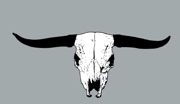 Steer Skull Vector