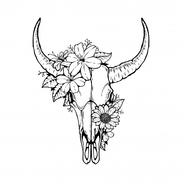 Download Steer Skull Vector at Vectorified.com | Collection of ...