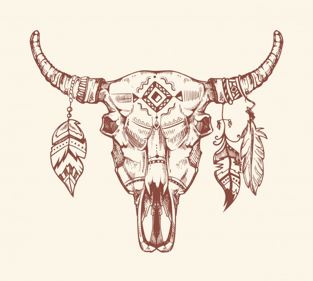 626x563 Cow Skull And Horns Set Vector Free Download