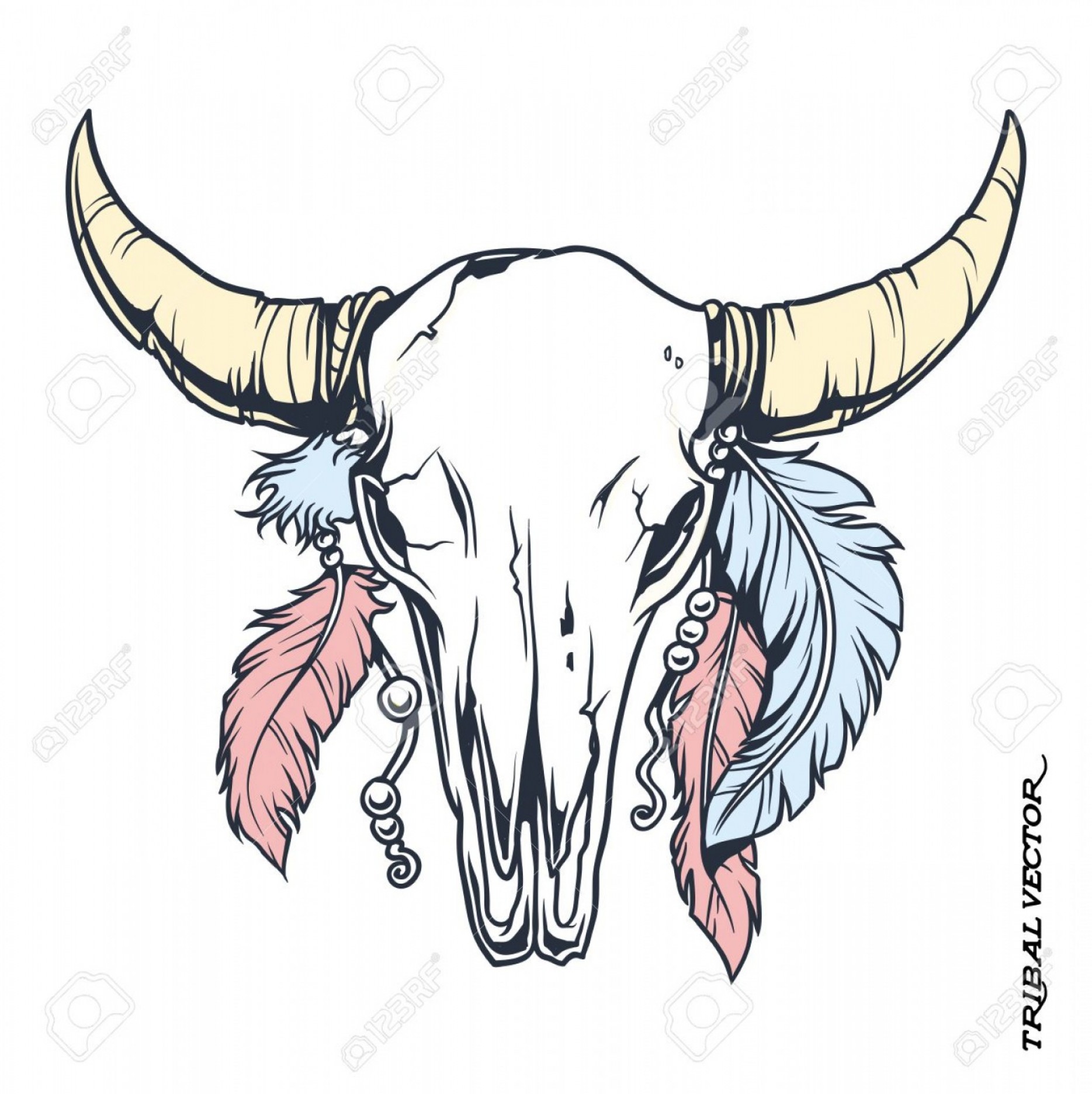 Steer Skull Vector at Vectorified.com | Collection of Steer Skull ...