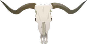 300x152 Free Vector Cow Skull