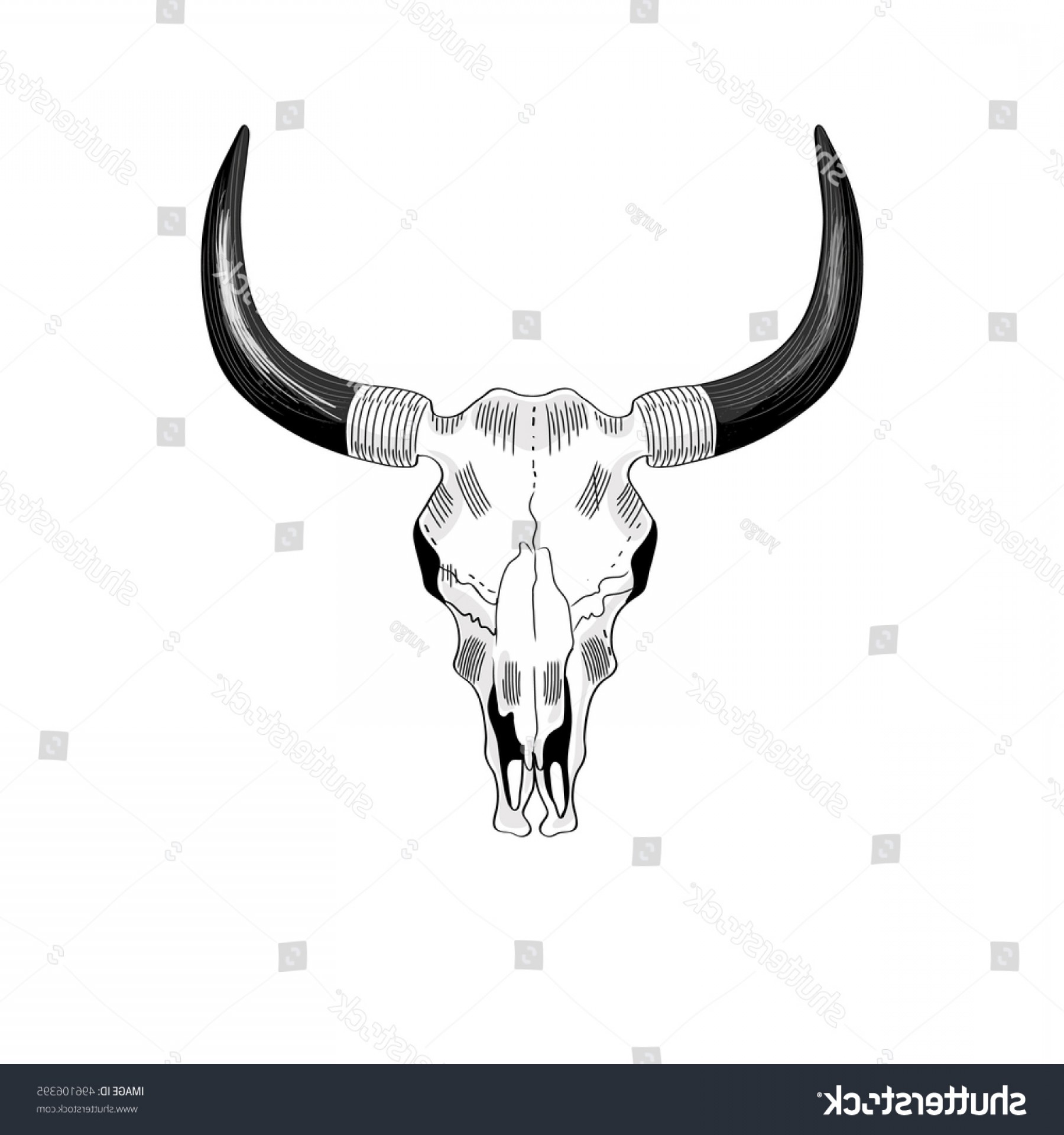 1800x1920 Vector Drawing Cow Bull Skull Horns Catchsplace