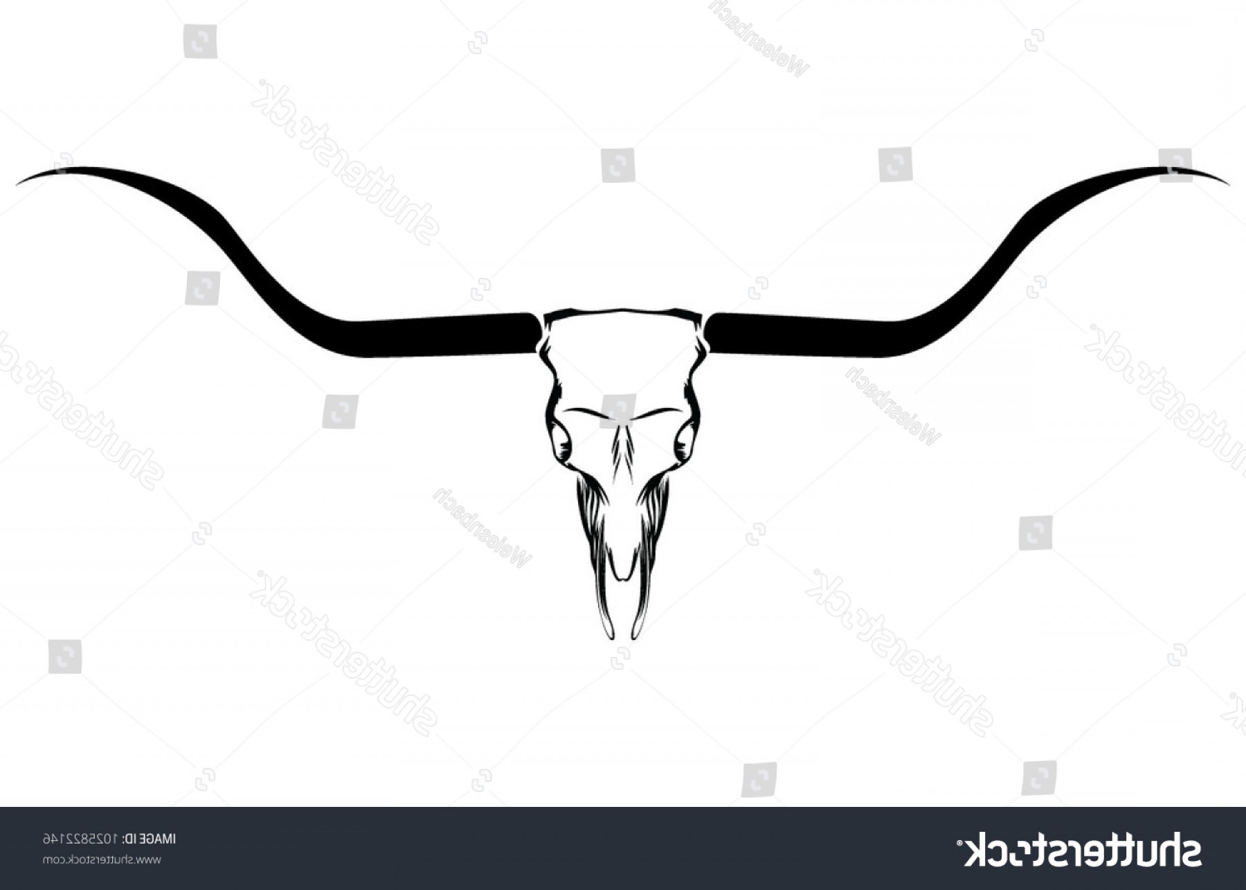 1800x1285 Vector Illustration Long Horn Steer Skull Soidergi