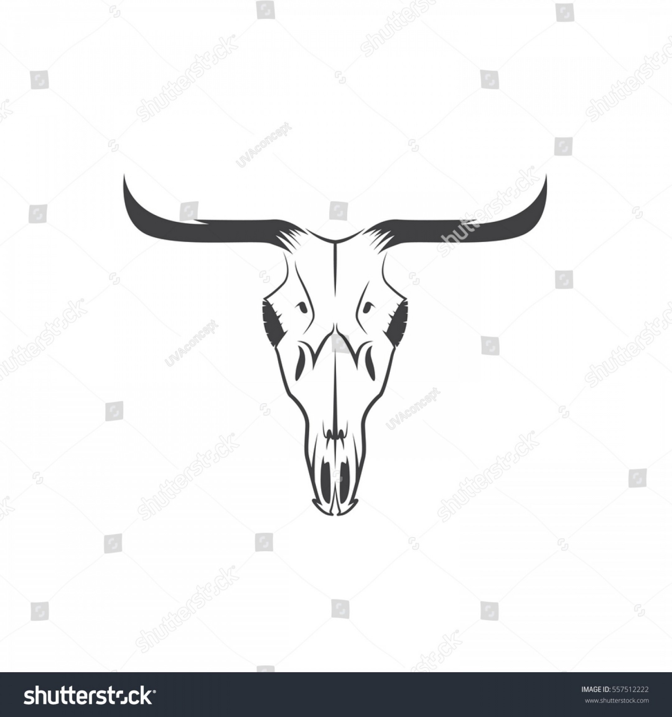 Steer Skull Vector at Vectorified.com | Collection of Steer Skull ...