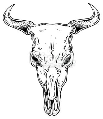 331x380 An Outline Illustration Of A Steer Skull Canvas Cow Skull Art