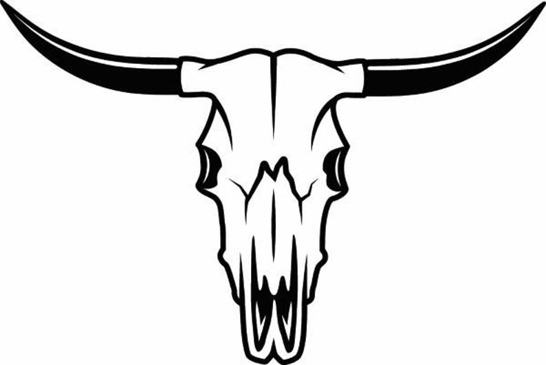 794x531 Bull Skull Skeleton Bones Horns Cowboy Country Western Cow Etsy