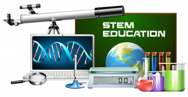Stem Vectors, Photos And Free Download 626x325 Stem Vectors, Photos And Free Download