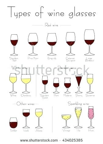 Stemless Wine Glass Vector at Vectorified.com | Collection of Stemless ...