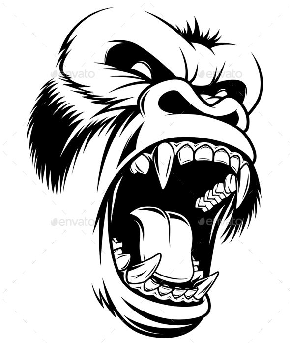 590x700 Fierce Gorilla Head Gorillaz Drawings, Gorilla Tattoo, Art