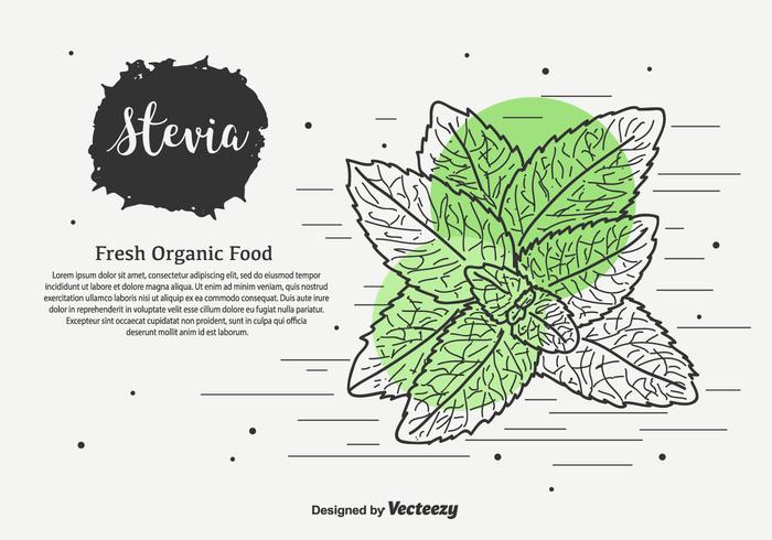 700x490 Hand Drawn Stevia Vector Background