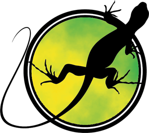 300x267 Sti Logo Vector