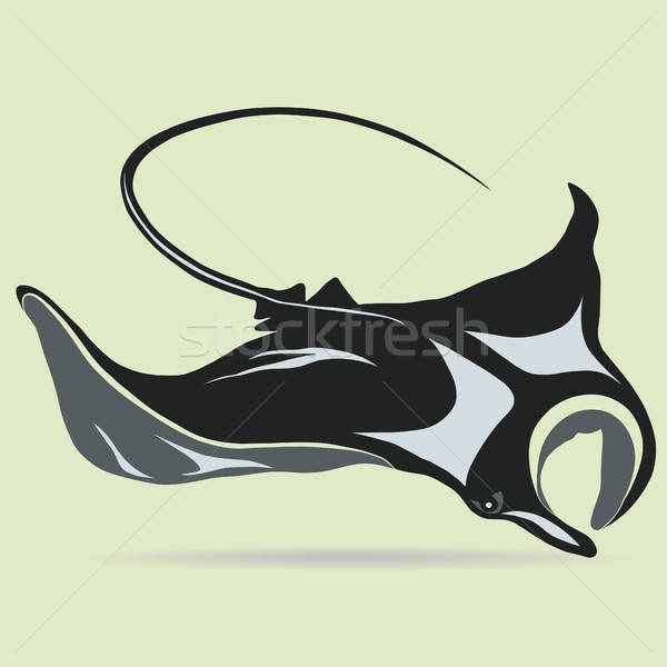 600x600 Stingray Vector Logo Vector Illustration Andrei Malysh