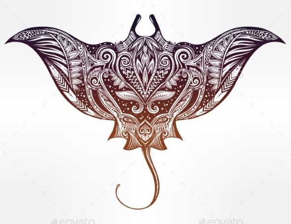 590x454 Ornate Stingray Fish Vector Illustration