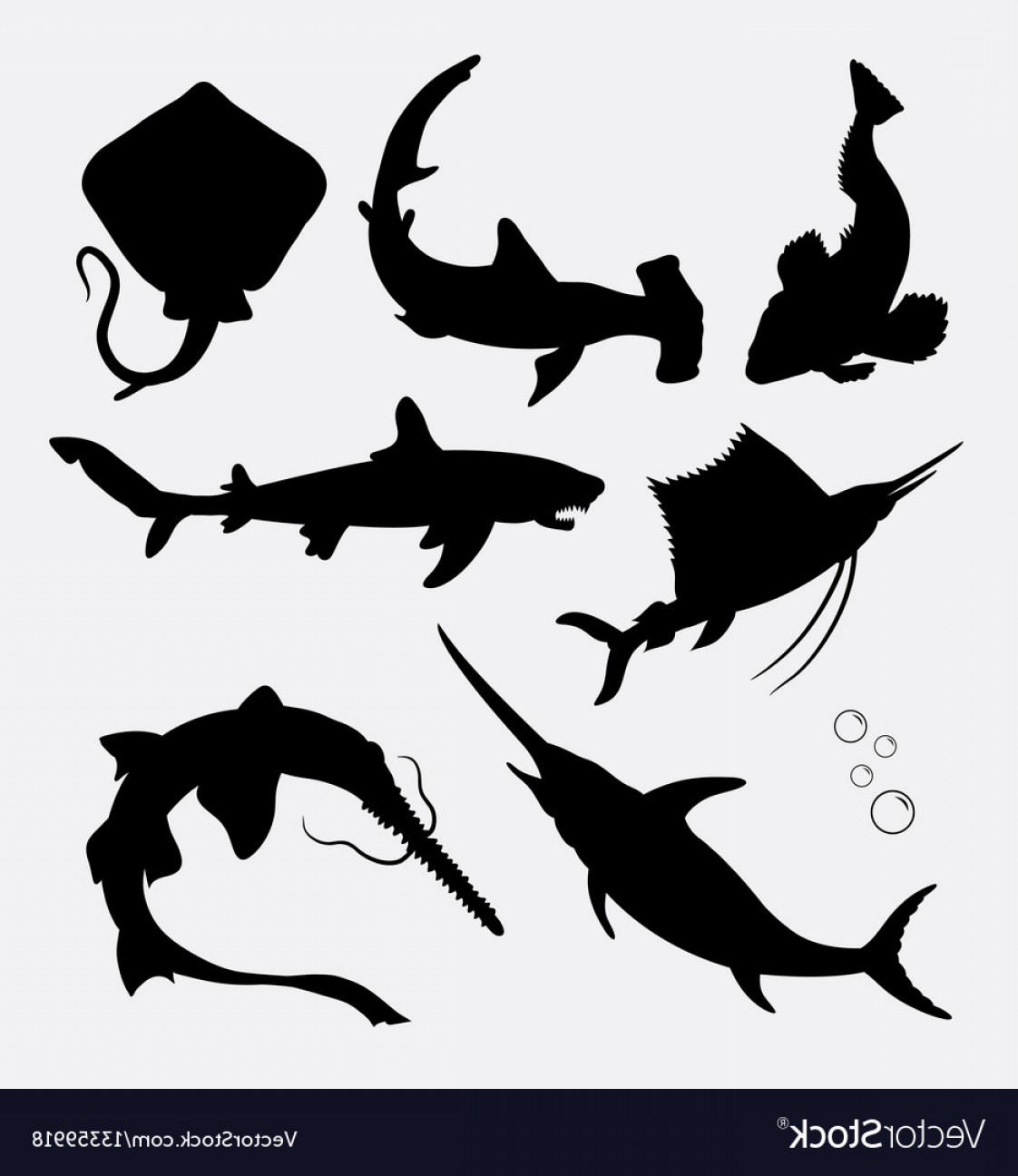 1122x1296 Stingray Vector Createmepink