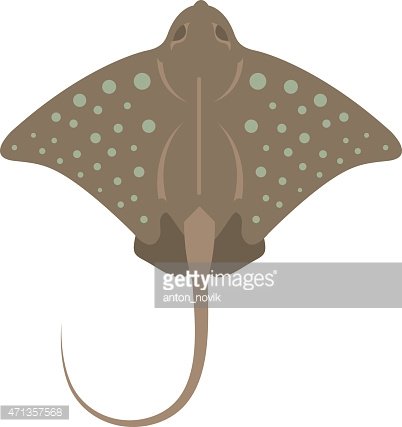 402x427 Stingray Vector Premium Clipart