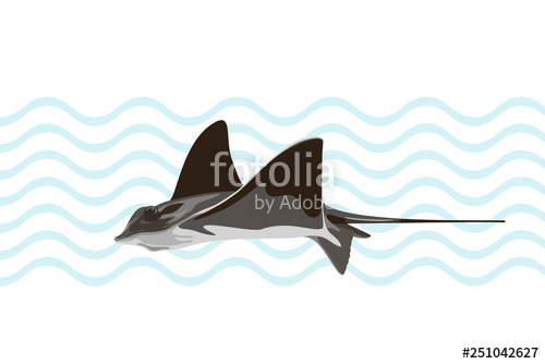 500x334 Swimming Common Stingray On Abstract Background Vector