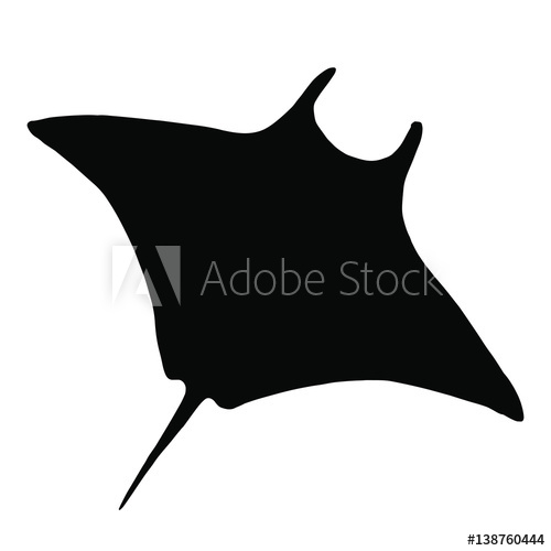 500x500 Vector Stingray Silhouette, Ray Fish Illustration Animal