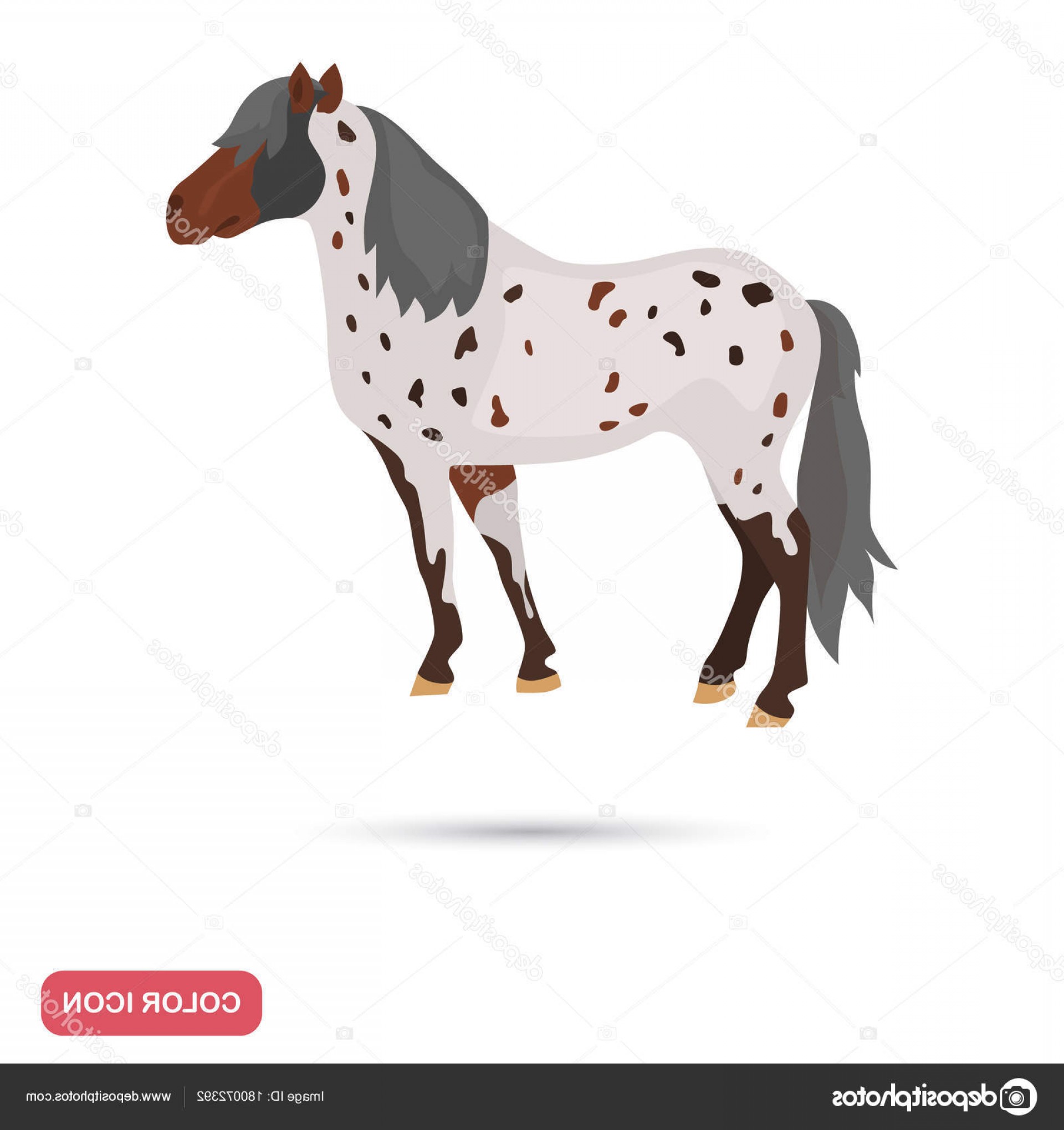 1920x2040 Stock Illustration Appaloosa Horse Color Flat Icon Savoyuptown