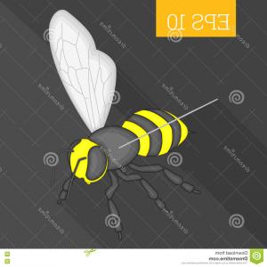 300x300 Stock Illustration Bee Isometric Vector Illustration D