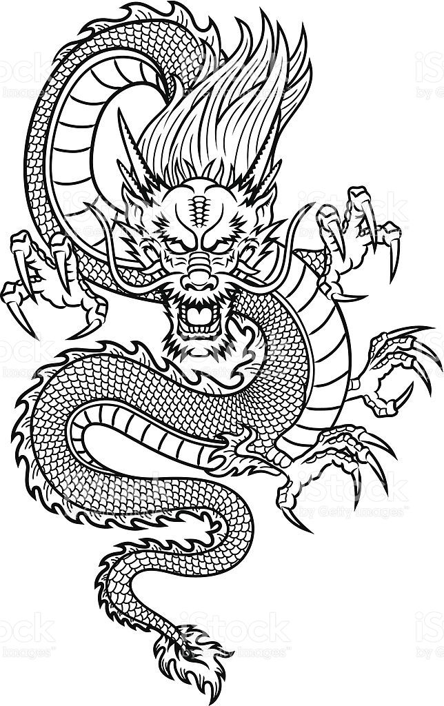 644x1024 Traditional Asian Dragon This Is Vector Illustration Ideal