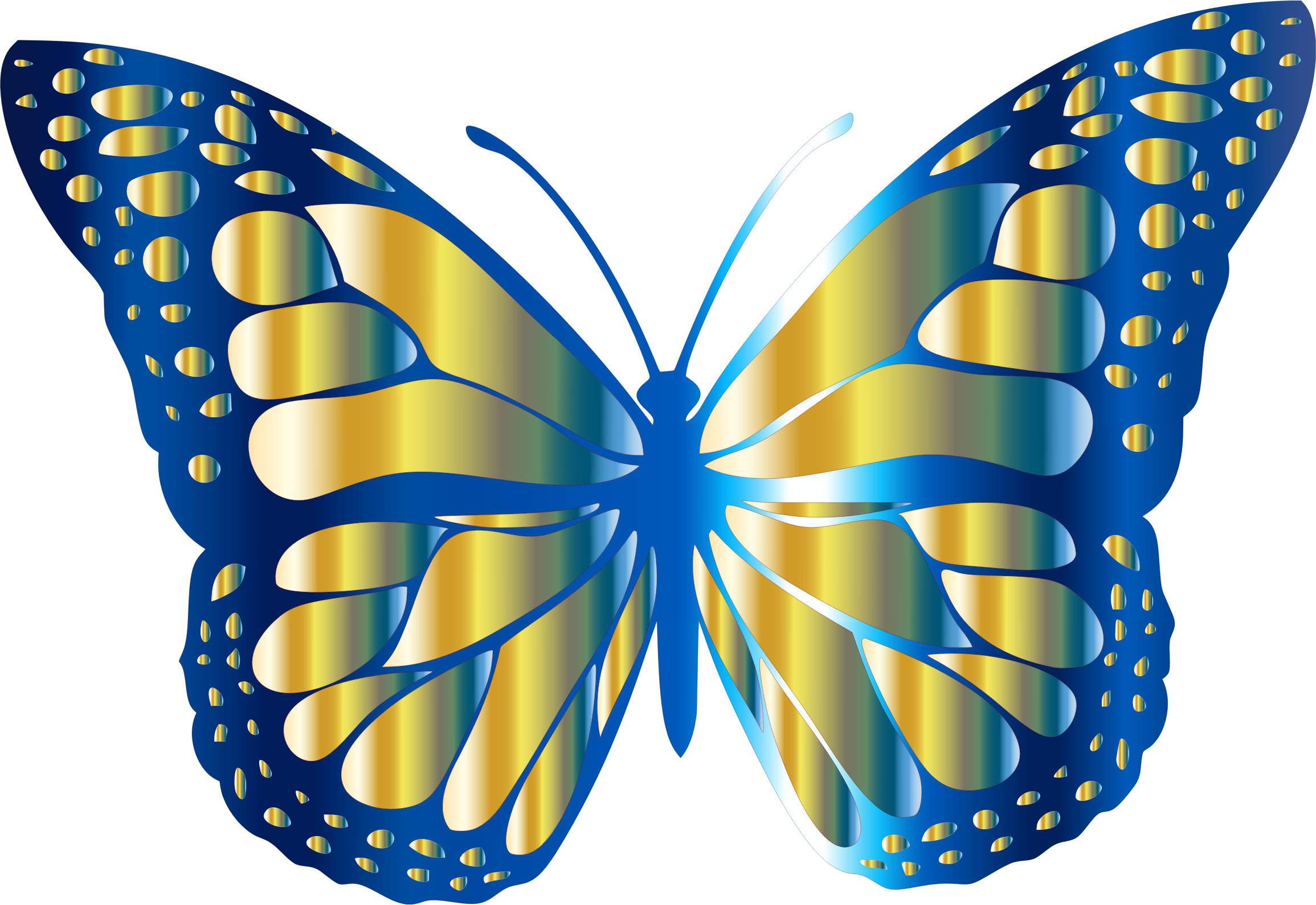 2310x1590 Blue And Gold Monarch Butterfly Vector Image