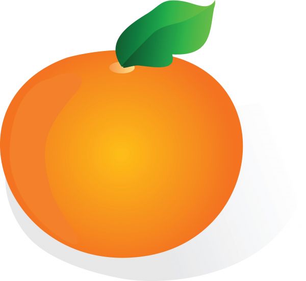 600x551 Illustration Cartoon Orange Vector On White Background