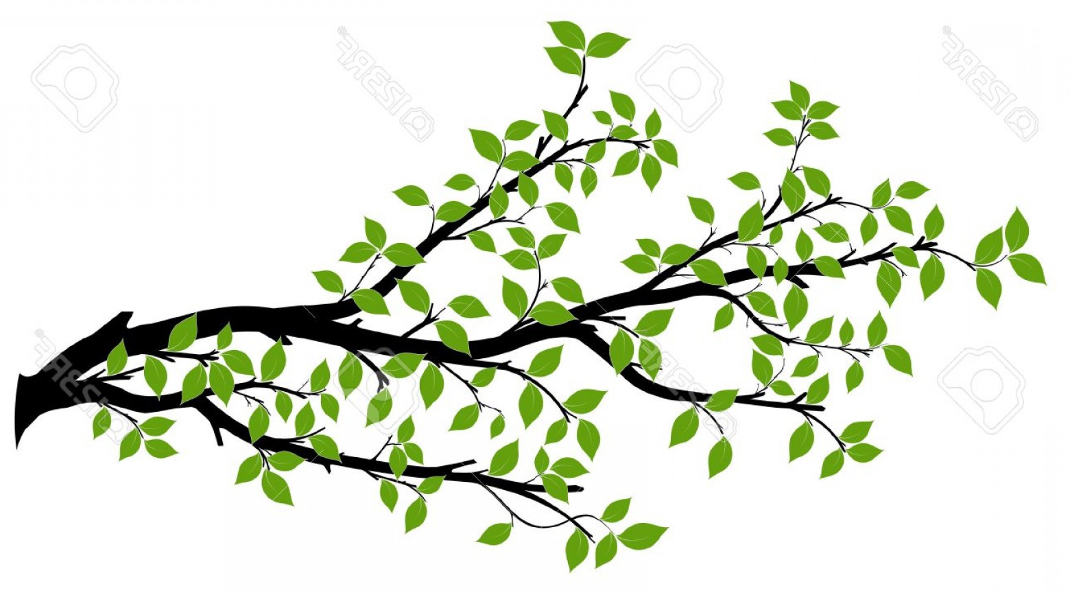 Silhouette Vector Tree Branch Art Savoyuptown 1560x864 Silhouette Vector Tree Branch Art Savoyuptown