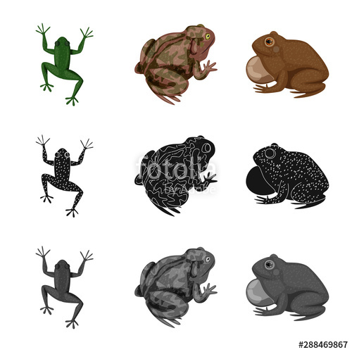 500x500 Isolated Object Of Wildlife And Bog Symbol Collection Of Wildlife