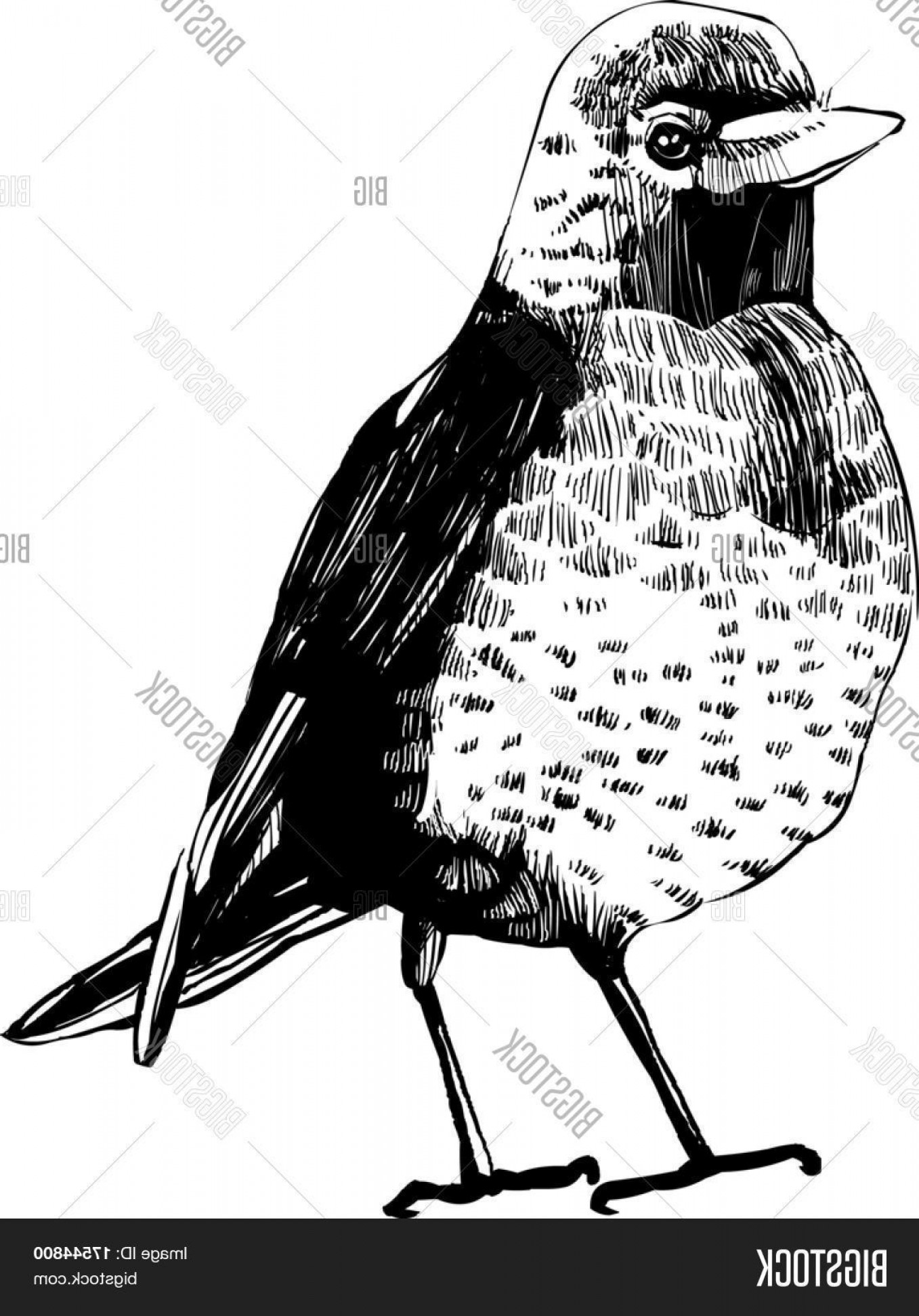 1357x1944 Vector Bird In Hand Hoodamathrun