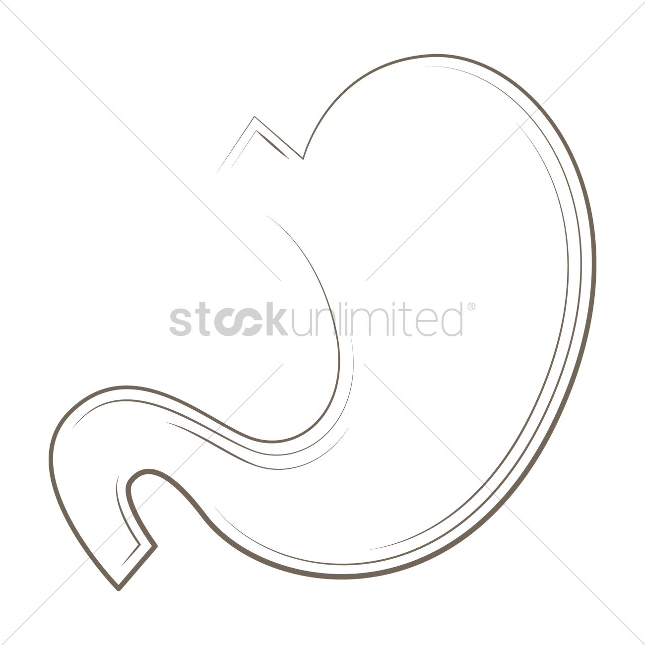 Stomach Vector at Vectorified.com | Collection of Stomach Vector free ...